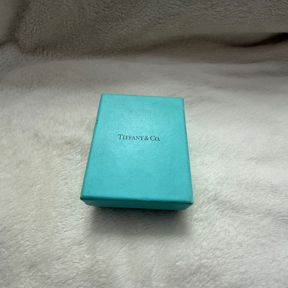 Tiffany & Co. Turquoise Jewelry Box
